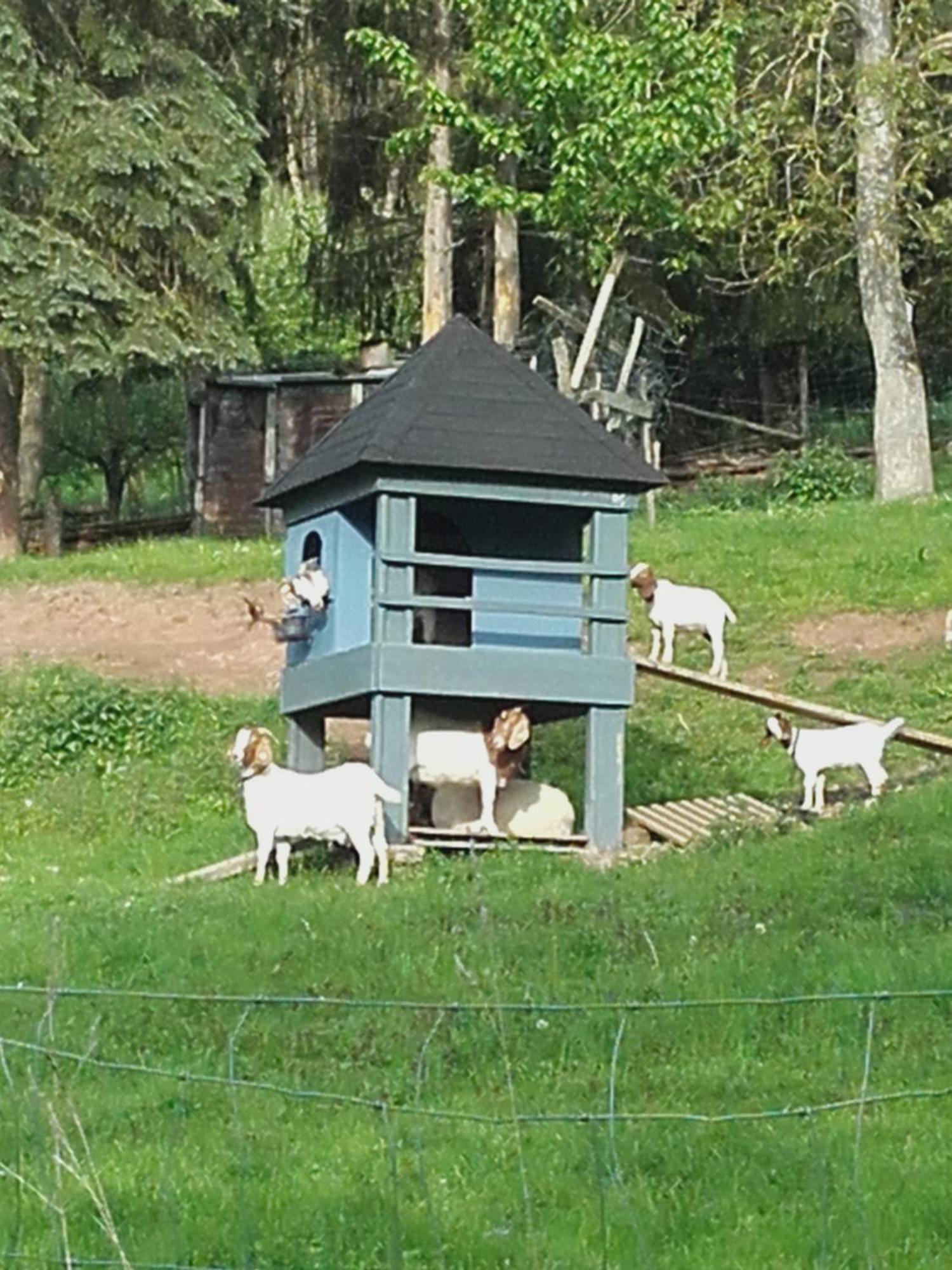 Ferienhaus Strunks Ahl Haeusje Villa Alken Kültér fotó